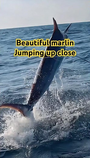 4K Marlin Jumps Out of Water Right Next to Boat | Insane Close-Up Ocean Moment