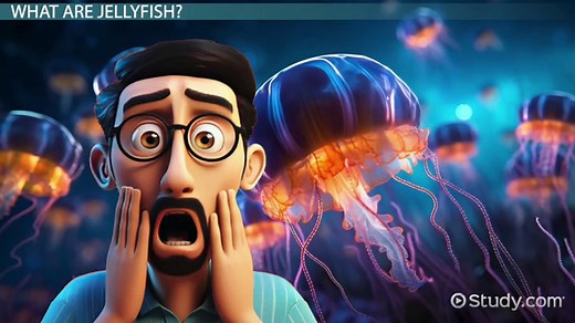 Types of Jellyfish | List, Names & Characteristics