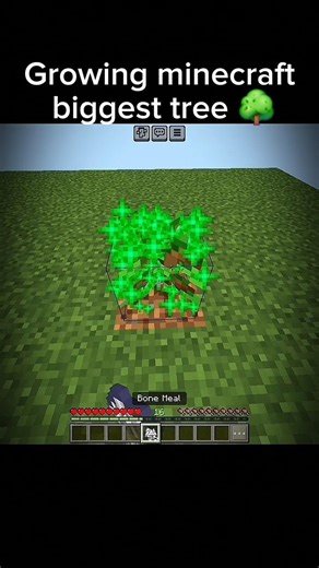 Growing minecraft biggest tree 🌳