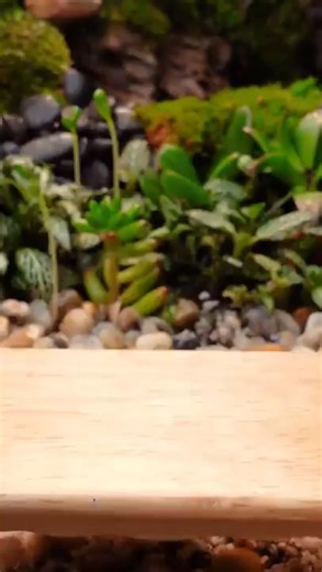 How to cook Miniature Spicy Eggs | Tiny Cakes