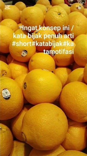 ingat konsep ini/katabijak penuh arti #katakata #yutubshort #vidioyutub#katamotifasi #motifasihidup