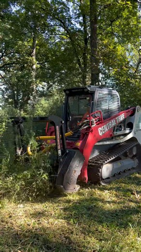 Central Tree can handle all of your Residential Tree and Brush Removal Needs🌲Call us today for a Quote! ✅ Higher Visibility ✅ Increase Property Value ✅ Professional Service 📞847-989-9048 📍14N705 US Highway 20, Pingree Grove, IL 60140 #tree #TreeRemoval #truck #midwest #fyp #viral #brushmowing #forestrymowing #mower #tractor #forestry #mulcher #ForestryEquipment #CentralTree #treeservice | Central Tree, LLC
