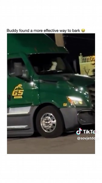 Smiling Dogs and Their Funniest Moments