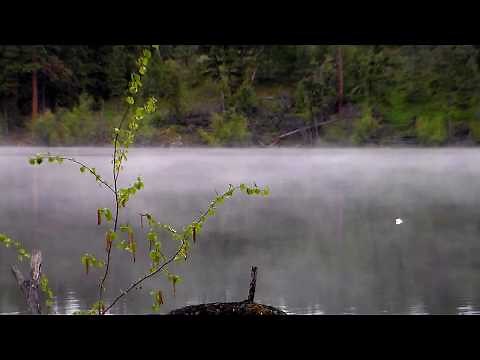 Curlew Lake Recordings