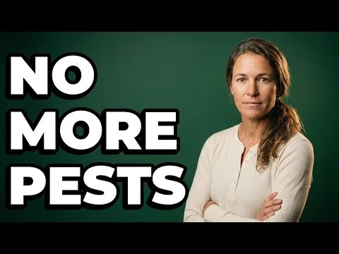 How Do You Keep A Horse Stable Clean From Flies And Gnats?