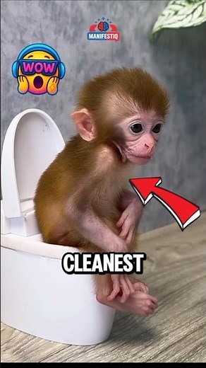 Top 3 Cleanest Animals on Earth! 😱 #facts #animalfacts #wildlife