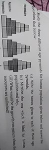 Study the three different age pyramids for human population giv... | Filo
