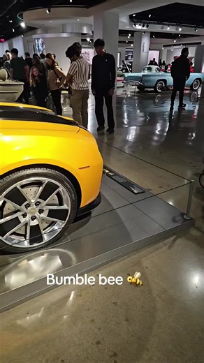 bumble bee original cars from movie. #transformers #bumblebeetransformers #fyp