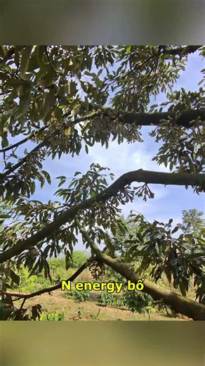 Making Flowers Easy with the TKA Process | TKA Agriculture