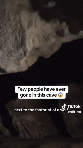 Cave of Forgotten Dreams: A Journey into Ancient Art