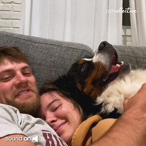 3.5M views · 10K reactions | Snuggle Time! | Try Not to Laugh | Facebook