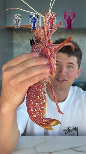 3 Levels Of Seafood