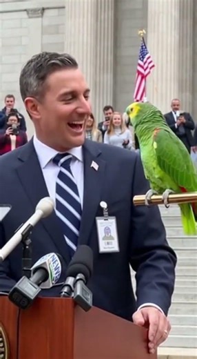 When the parrot understands the joke before everyone else. #youtubeshorts #funny #talkingparrot