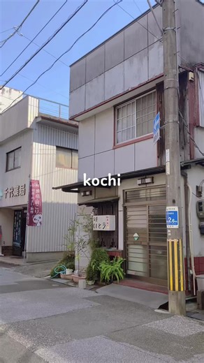 高知市の魅力を探る