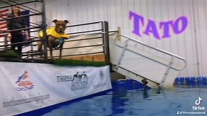 7.3K views · 199 reactions | A lovely little montage. | Three Hounds Training Ground | Facebook