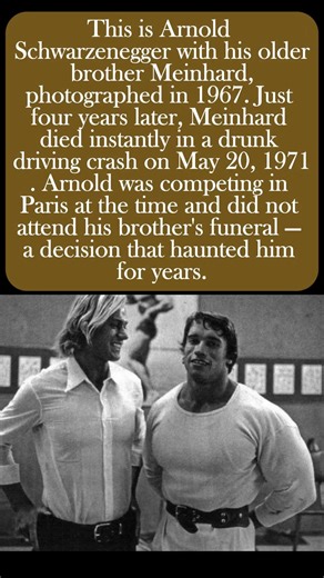 💔 The Tragic Story of Arnold Schwarzenegger's Brother Nobody Talks About