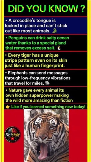 Scientists Can't Explain How Amazing These Animals Are