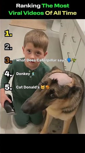 Ranking The Most And Best Viral Videos Of All Time - You WON'T BELIEVE IT! #1 Will Blow Your Mind! 😂