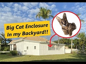 BUILDING A BIG CAT ENCLOSURE IN MT BACKYARD! (Getting a Pet Serval!!)