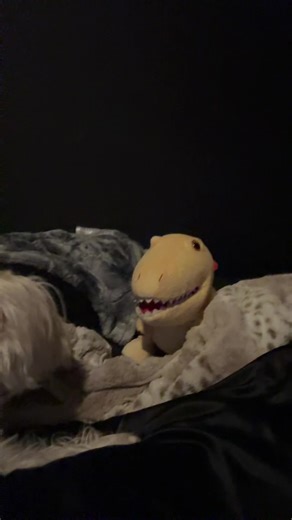 Daisy & Dino (@daisy.and.dino)’s videos with original sound - NateDaGreat Comedy