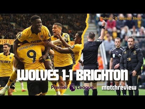 Wolves 1-1 Brighton Reaction! When will our first league win come?