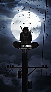 The Secret to Training Wild Crows - Joe Rogan