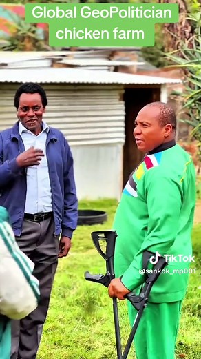 Exploring Free Range Chicken Farming Techniques