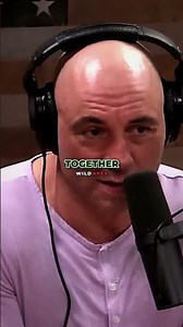 Hawaii Wants Its Pigs Gone 🐖 #joerogan #1240