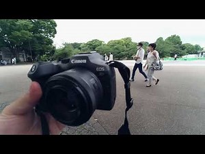 EOS R7を発売日に使った感想【オススメはEOS R6】