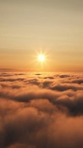 27K views | Earn rewards and get exclusive deals with each of your...