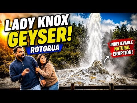 We Witnessed the Lady Knox Geyser Erupt! 😱 Rotorua Diaries