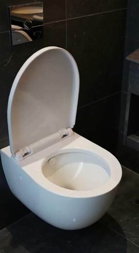 Modern Bathroom Walkthrough | Anti-Stain Ceramic Wall Hung Toilet with Quiet Powerful Flush