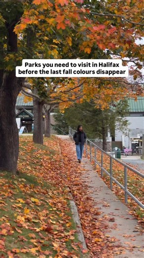 If you think fall is over in Halifax, it’s not! 📌 Save these 6 parks around Halifax before the leaves are gone👇 Follow @roving.mapletales for more itineraries and hiking recommendations in Nova Scotia 🇨🇦🦞 Parks mentioned in the video: 📍Africville Park 📍Sir Sanford Fleming Park/Dingle Park 📍Kiwanis Grahams Grove Park 📍Shubie Park 📍Hemlock Ravine Park 📍Point Pleasant Park ➡️ Share these parks with someone who’d love to see the last bit of Fall colours in Halifax 🍁 Fall foliage in Halif