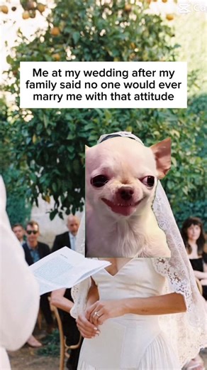 Brides with Vibes ⚡️❤️‍🔥 on Instagram: "Me at my wedding after everyone said “no one would ever marry you with that attitude” 😌💅 Brides, tell me I’m not alone on this one 😂 #WeddingMeme #WeddingHumor #BrideLife #WeddingPlanning #2026Bride #EngagedLife"