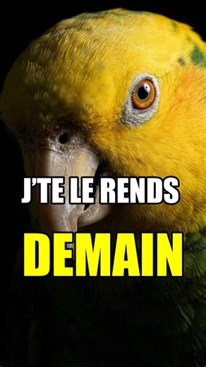Le roi du “j’te le rends demain”… on le connaît tous | Épisode 5 | Mini-série Les profiteurs | YAGO