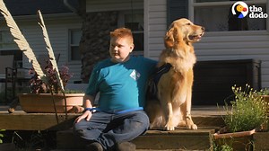 These service dogs make their humans’ lives better 🐾💜 | The Dodo