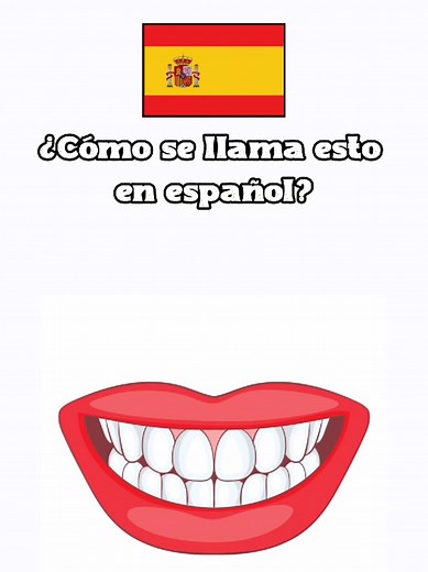Partes del Cuerpo Humano 🧍‍♂️👁️👂👅🦷