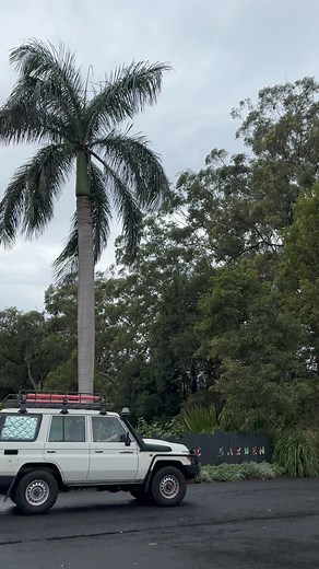 1.5K views · 19 reactions |  Unlock hidden beauties within the Coffs...