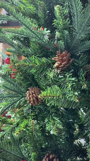 3.5K views · 94 reactions | "The most wonderful time of the year is almost here!  | Floris | Facebook