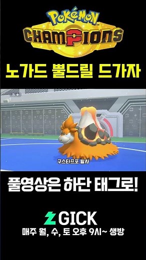 노가드 몰드류의 공포 #포켓몬챔피언스