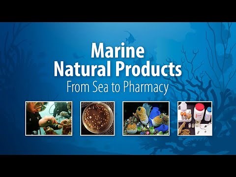 Marine Natural Products: From Sea to Pharmacy