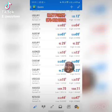 Eazy Forex - We have forex traders and we have eazy forex...