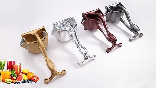 Make Healthy and Fresh Juice Quickly and Easily