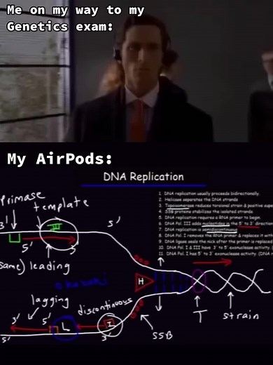 Organic Chemistry Tutor: DNA Polymerase 3 & Building New DNA Strand