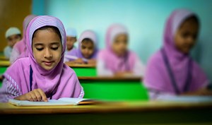 Learning & the Brain: Neuroscientist Immordino-Yang