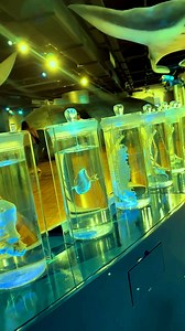 Inside Area 51 Green Room. Real Mars Alien Chrysalis Brought By UFO To Area 51 Top Secret Lab On Earth #igorkryan #blackhole #chrysalis #ufo #mars #aliens #area51channel #area51 | Creator’s Riddle: Darwin vs. God | Facebook