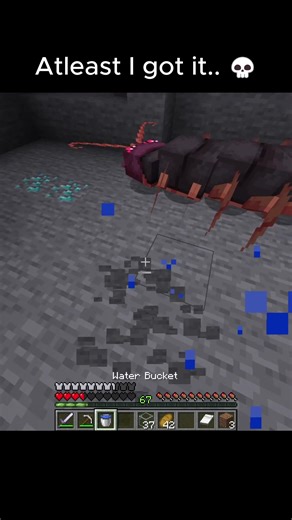 Valid or no? #minecraft #minecraftmemes #explore #gaming #fyp | minecraft