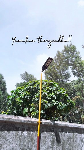 SO1🐾 on Instagram: "Yaarukum theriyaadhu!!💯 . . . . #yercaud #yercaudhills #lamp #postlight #postlamp #alone #life #lifestyle #lifetruth #thruth #usefulline #quotes #naturephotography #nature #sevakumarsabadham #trendingreels #trending #sky #clouds #sun #codes #codeing #viral #viralvideos #viralreels #instagram #reels #story . . . #stories_of_onezz 💎"