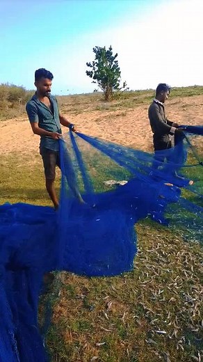 Fishing with a Net: Collecting Small Fish Outdoors