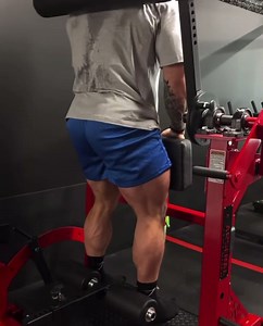 Reloaded Posterior Chain Developer - Designed to allow users of nearly any height train the entirety of their posterior chain safely and effectively. - Ft Chris Bumstead - #ArsenalStrength #MastersOfStrength #ReloadedSeries | Arsenal Strength